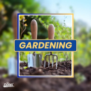 Gardening